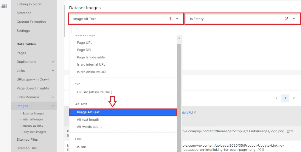 Adjust the filters to find all images missing alt text - JetOctopus