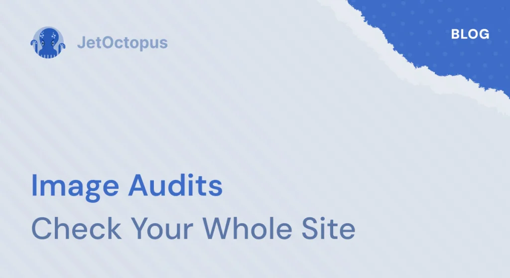How to check all images on your website