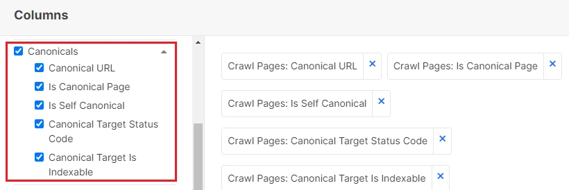 How to check canonicals with JetOctopus - step 11 How to check canonicals with JetOctopus - step 11