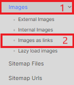 How to check all images on your website with JetOctopus - 7
