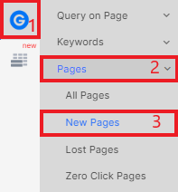 How to find the newest pages in SERP - Jetoctopus - Step 1