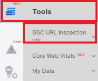 JetOctopus Product Update. GSC URL Inspection Tool - 4