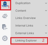 How to use the Linking Explorer tool JetOctopus -1 How to use the Linking Explorer tool JetOctopus -1