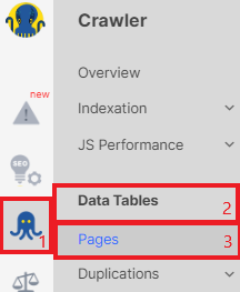 How to view a website as a Googlebot using JetOctopus - 4