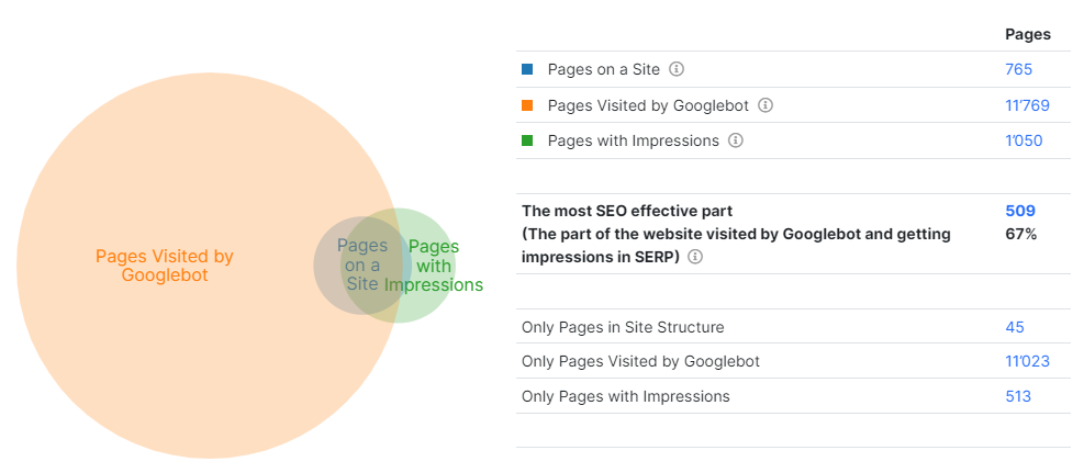 10 must-have checks for a small website - JetOctopus Log Analyzer - 1