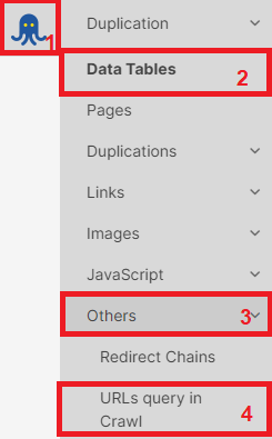 What is the URLs Query in Crawl report and how to use it - JetOctopus crawler - 2